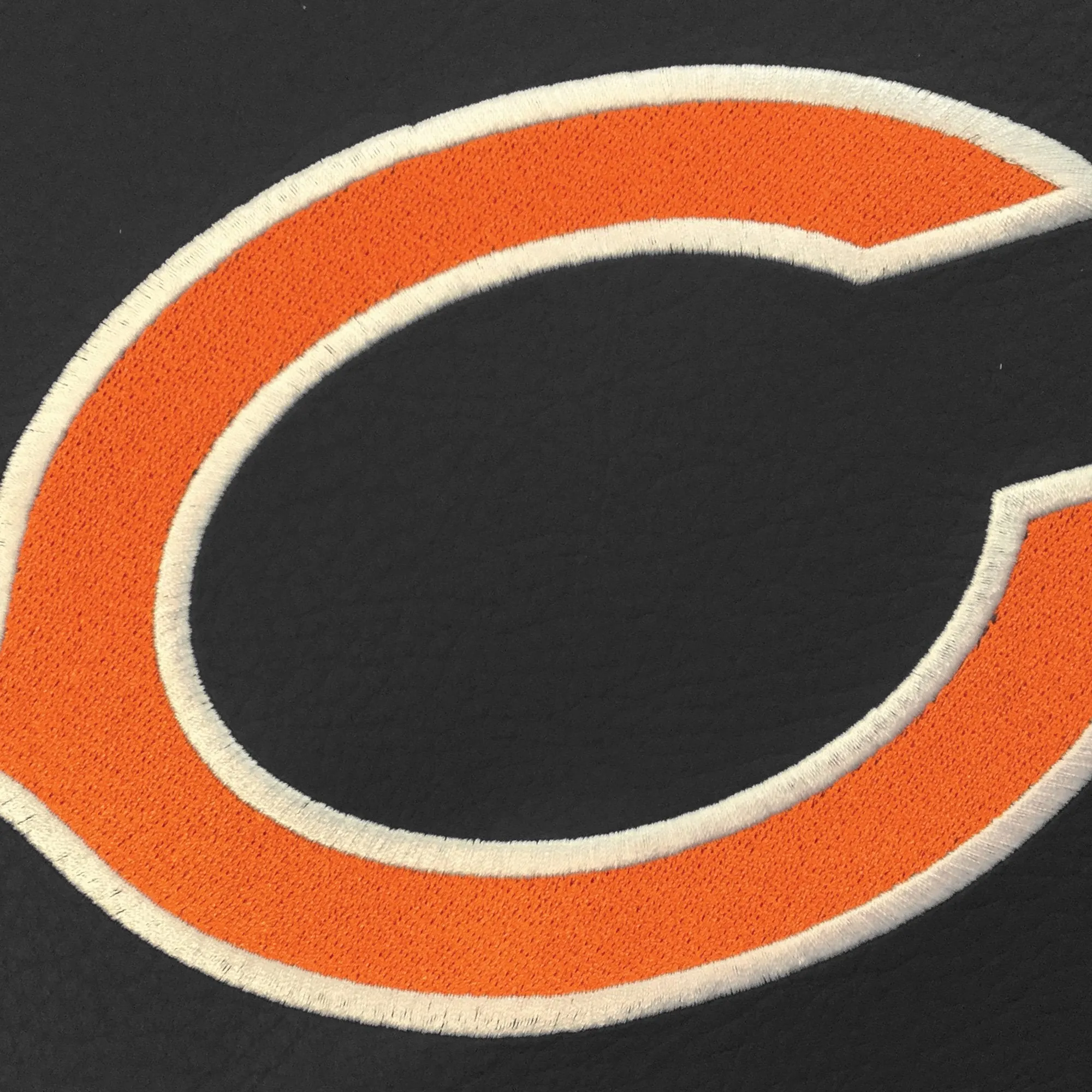 Chicago Bears Primary Logo Panel