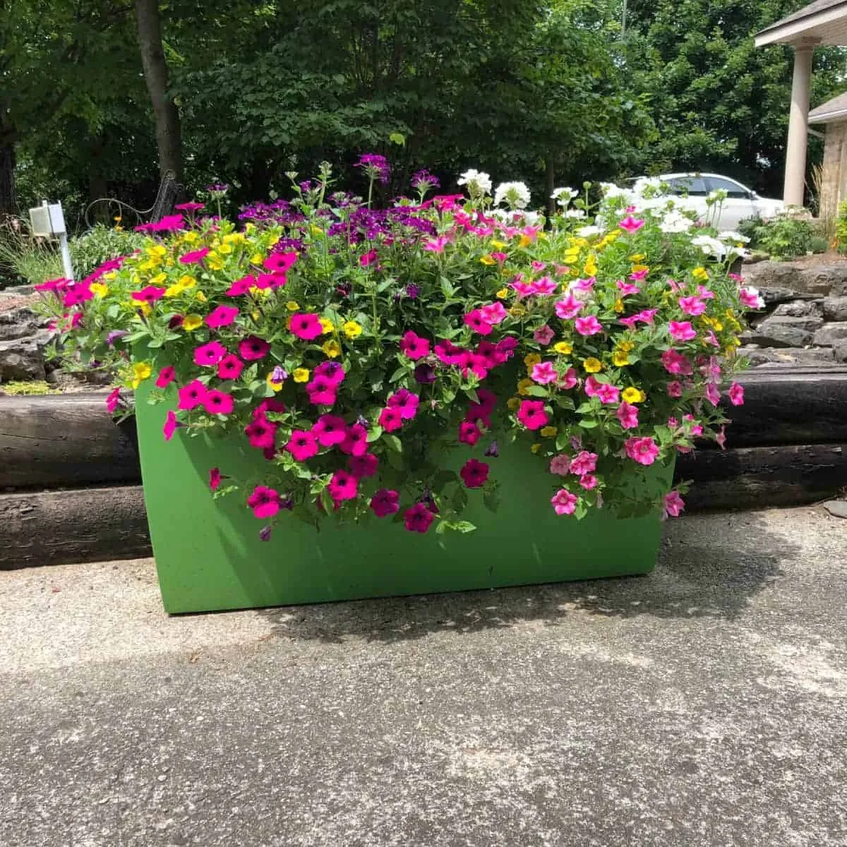 Panama Rectangular Tapered Planter