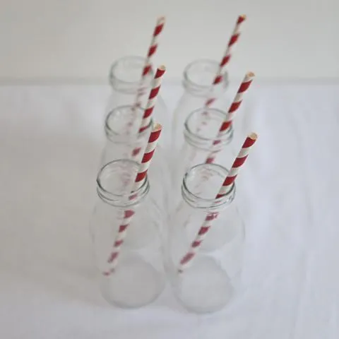 Paper Straws Red (10 Pack)